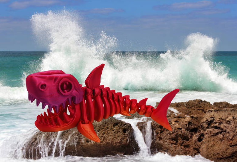 Fossiel skelet Megalodon Haai