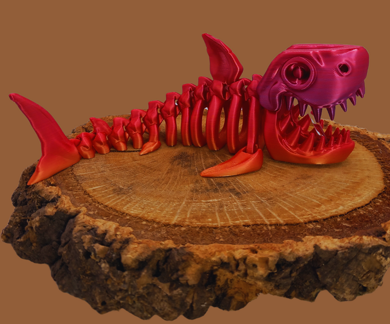 Fossiel skelet Megalodon Haai